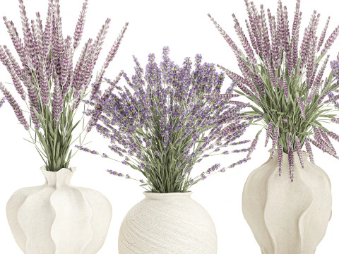 Collection realistic bouquets 5 lavender flowers vase decor 3D Model