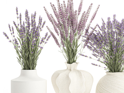 Cole&ccedil;&atilde;o de buqu&ecirc;s realistas com 5 flores de lavanda e decora&ccedil;&atilde;o de vaso Modelo 3D