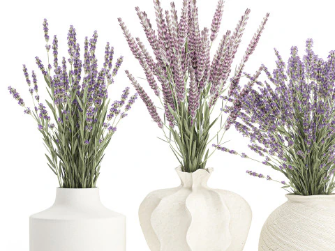 Collection realistic bouquets 5 lavender flowers vase decor 3D Model