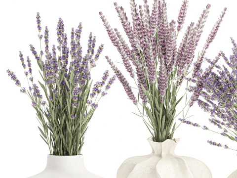 Collection realistic bouquets 5 lavender flowers vase decor 3D Model