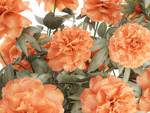 Bellissimo lussureggiante bouquet formale di fiori di peonia, decorazione in vaso Modello 3D