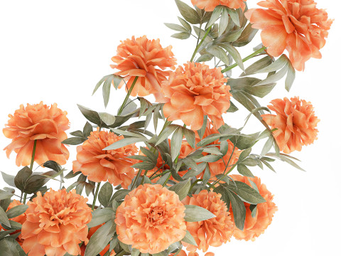 Bellissimo lussureggiante bouquet formale di fiori di peonia, decorazione in vaso Modello 3D