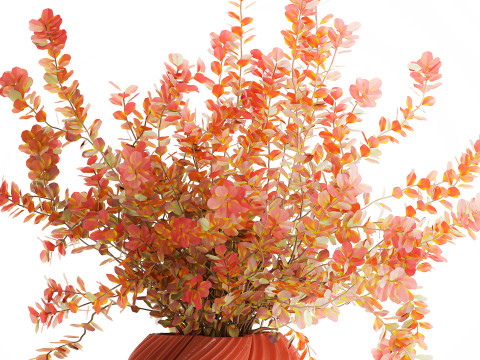 Buqu&ecirc; realista de flores de outono, ramos de b&eacute;rberis Modelo 3D