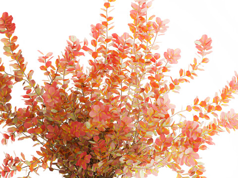 Buqu&ecirc; realista de flores de outono, ramos de b&eacute;rberis Modelo 3D