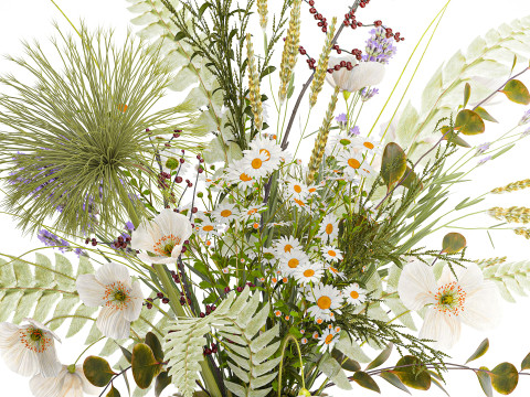 Mooi boeket wilde bloemen Poppy Daisy vaas 3D Model