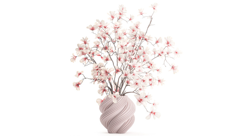Bouquet di fiori rosa bianchi che sbocciano rami di magnolia decorazione vaso Modello 3D .c4d .max .obj .3ds .fbx .stl .blend