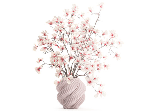 Boeket wit roze bloemen bloeiende magnolia takken vaas decor 3D Model