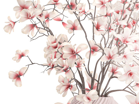 Bouquet di fiori rosa bianchi che sbocciano rami di magnolia decorazione vaso Modello 3D