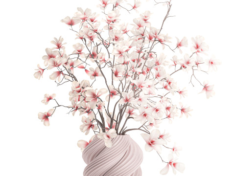 Bouquet di fiori rosa bianchi che sbocciano rami di magnolia decorazione vaso Modello 3D