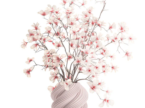Bouquet white pink flowers blooming magnolia branches vase decor 3D Model