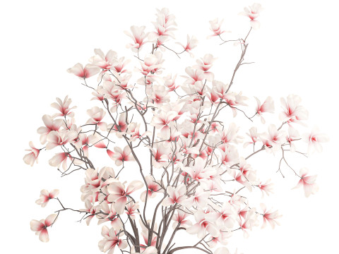 Bouquet di fiori rosa bianchi che sbocciano rami di magnolia decorazione vaso Modello 3D