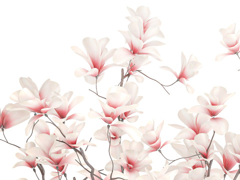 Bouquet di fiori rosa bianchi che sbocciano rami di magnolia decorazione vaso Modello 3D