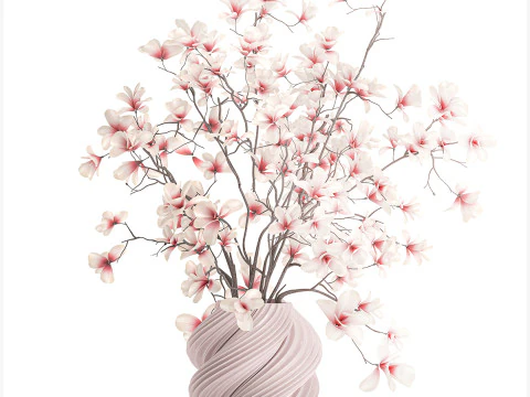 Bouquet white pink flowers blooming magnolia branches vase decor 3D Model