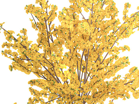 Ramo de flores amarillas, ramas de forsythia, decoraci&oacute;n de jarr&oacute;n Modelo 3D