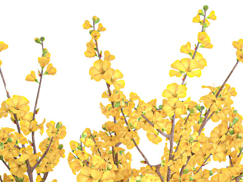 Ramo de flores amarillas, ramas de forsythia, decoraci&oacute;n de jarr&oacute;n Modelo 3D
