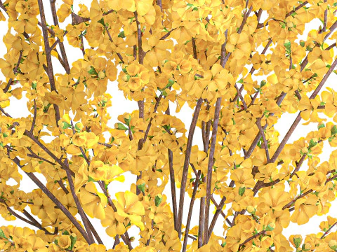 Bouquet fiori gialli forsizia rami decorazione vaso Modello 3D