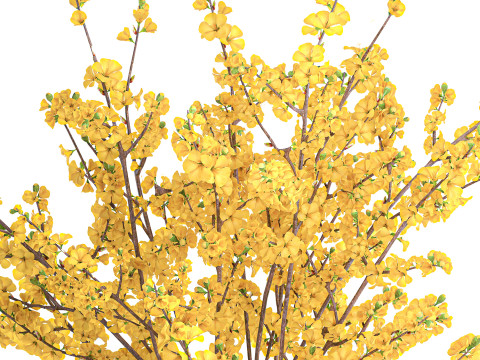Ramo de flores amarillas, ramas de forsythia, decoraci&oacute;n de jarr&oacute;n Modelo 3D