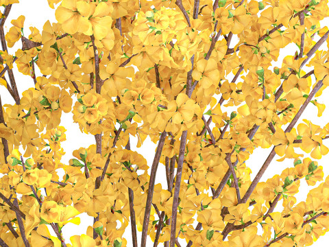 Ramo de flores amarillas, ramas de forsythia, decoraci&oacute;n de jarr&oacute;n Modelo 3D