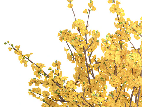 Bouquet fiori gialli forsizia rami decorazione vaso Modello 3D