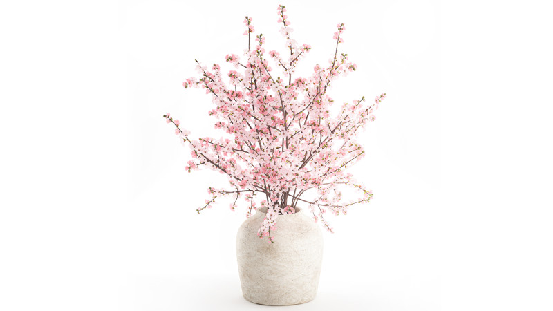 गुलदस्ता गुलाबी सफेद चेरी ब्लॉसम शाखाएँ फूलदान सजावट 3D मॉडल .c4d .max .obj .3ds .fbx .stl .blend 