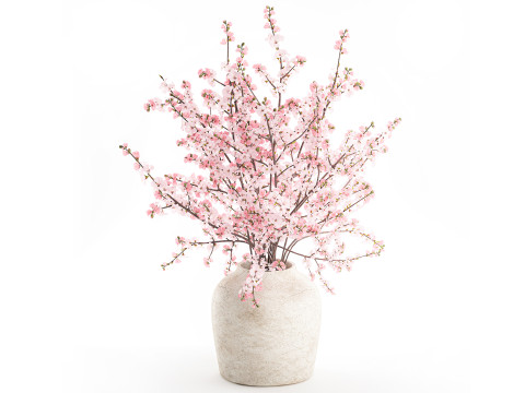 Blumenstrau&szlig; rosa wei&szlig;e Kirschbl&uuml;tenzweige Vasendekor 3D Modell