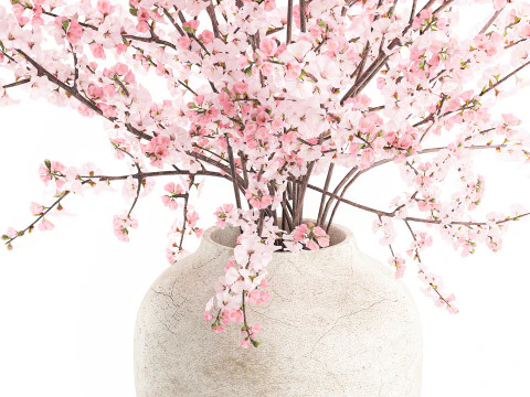 Bouquet pink white cherry blossom branches vase decor 3D Model