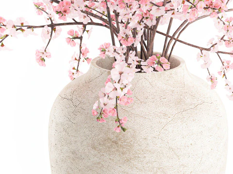 Bouquet pink white cherry blossom branches vase decor 3D Model