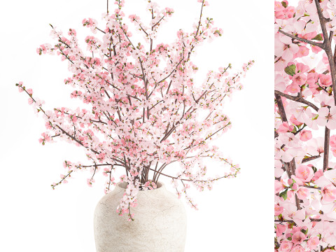 गुलदस्ता गुलाबी सफेद चेरी ब्लॉसम शाखाएँ फूलदान सजावट 3D मॉडल