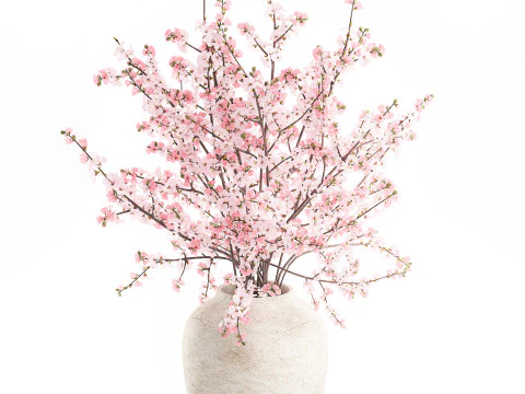 Bouquet pink white cherry blossom branches vase decor 3D Model