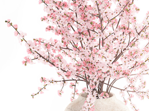 गुलदस्ता गुलाबी सफेद चेरी ब्लॉसम शाखाएँ फूलदान सजावट 3D मॉडल