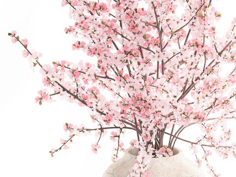 Bouquet pink white cherry blossom branches vase decor 3D Model