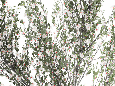Bouquet white cherry sakura blossom branches vase decor 3D Model