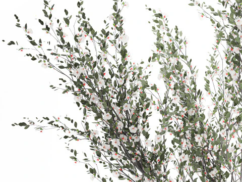 Bouquet white cherry sakura blossom branches vase decor 3D Model