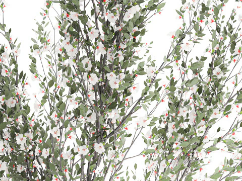 Bouquet white cherry sakura blossom branches vase decor 3D Model