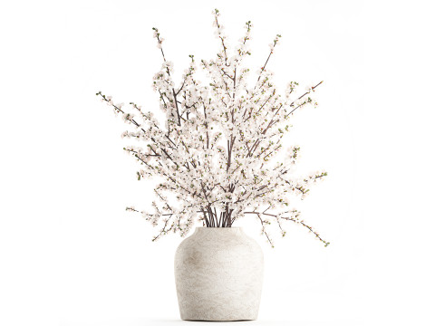 Blumenstrau&szlig;, wei&szlig;e Kirsch-Sakura-Bl&uuml;tenzweige, Vase 3D Modell