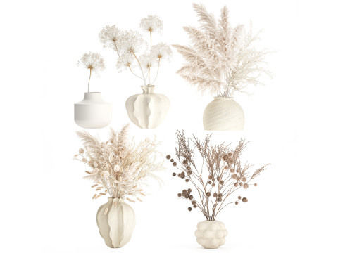 Verzameling gedroogde bloemboeketten pampa's takken in vazen set 3D Model