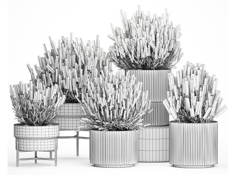 Collezione Cespugli di fiori di campo Calluna Erica Vasi per piante Modello 3D