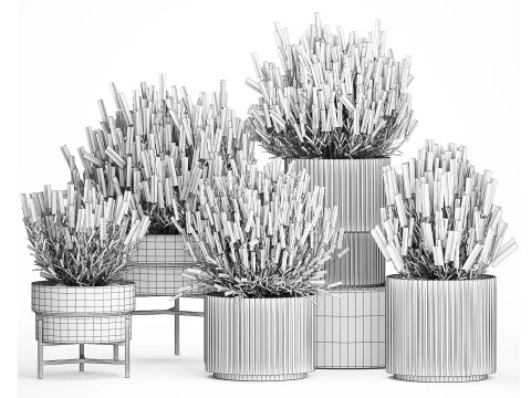 Collection Wildflower Bushes Calluna Heather Plant pots 3D Model