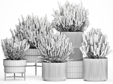 Collezione Cespugli di fiori di campo Calluna Erica Vasi per piante Modello 3D