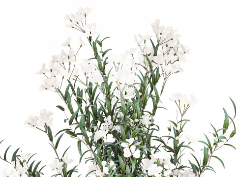 Красиві букети квітів Олеандр Неріум Декор вази 3D Модель