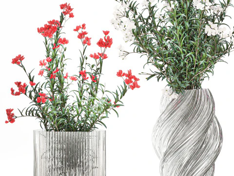 Красиві букети квітів Олеандр Неріум Декор вази 3D Модель