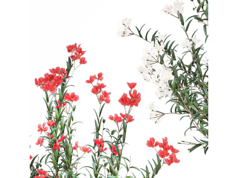 Красиві букети квітів Олеандр Неріум Декор вази 3D Модель