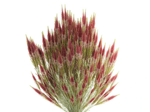 Beautiful bouquet of wildflowers Calluna heather vase 3D Model
