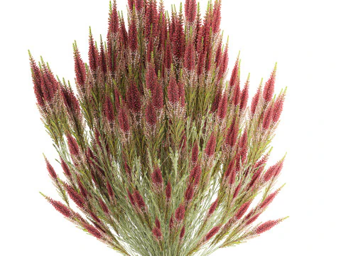 Beautiful bouquet of wildflowers Calluna heather vase 3D Model