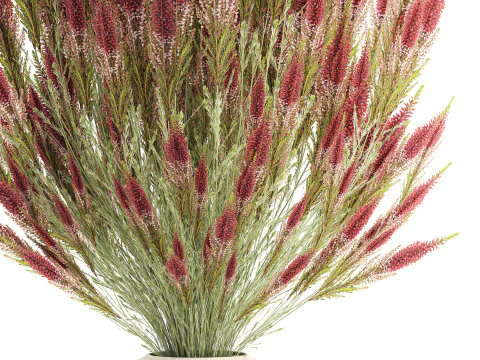Beautiful bouquet of wildflowers Calluna heather vase 3D Model