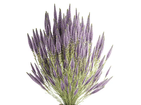 Bellissimo bouquet di fiori di campo Calluna decorazione vaso di erica Modello 3D