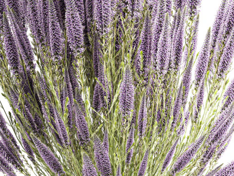 Bellissimo bouquet di fiori di campo Calluna decorazione vaso di erica Modello 3D