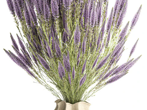 Bellissimo bouquet di fiori di campo Calluna decorazione vaso di erica Modello 3D