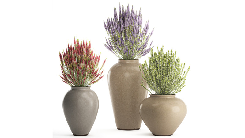 जंगली फूलों के गुलदस्ते कैलुना लैवेंडर संग्रह बर्तन फूलदान सेट 3D मॉडल .c4d .max .obj .3ds .fbx .stl .blend 