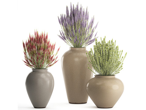 Wildflower boeketten Calluna lavendel collectie potten vazen set 3D Model